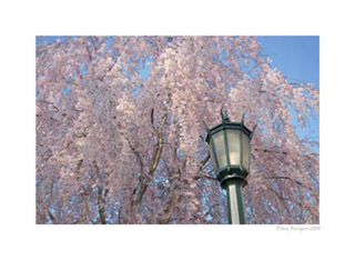 Copyright 2008 Doug Burgess